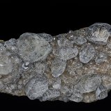 Calcite
11.6  x 5.2 cm
(Autor: am mizunaka)