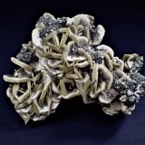 Siderite, Pyrite (octahedral)
100 mm x 78 mm x 65 mm
(Autor: Don Lum)