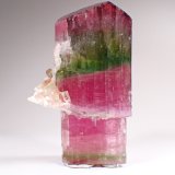 Elbaite (Tourmaline Group), Albite (variety cleavelandite)
115 mm x 67 mm x 55 mm
(Autor: Don Lum)