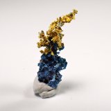 Gold, Shattuckite
15 mm x 12 mm
(Autor: Don Lum)