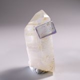 Fluorite, Quartz
35 mm x 16 mm
(Autor: Don Lum)