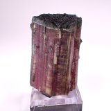 Elbaite (Tourmaline Group)
49 mm x 34 mm x 30mm
(Autor: Don Lum)