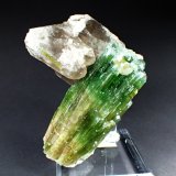 Elbaite variety verdelite (Tourmaline Group), Quartz (variety smoky quartz)
15 cm x 14 cm x 9.7 cm
(Autor: Don Lum)