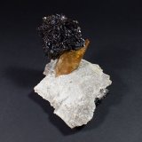 Sphalerite, Calcite, Dolomite
125 mm x 77 mm
(Autor: Don Lum)