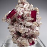 Elbaite (variety rubellite)  (Tourmaline Group), Muscovite
130 mm x 91 mm x 70 mm
(Autor: Don Lum)