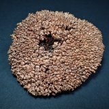 Copper
68mm x 56mm x 22mm
(Autor: Don Lum)