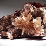 Hemimorphite
105 mm x 62 mm x 47 mm
(Autor: Don Lum)
