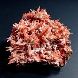 Crocoite, Gibbsite
66 mm x 55 mm x 29 mm
(Autor: Don Lum)