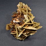 Siderite, Chalcopyrite,Tetrahedrite
73 mm x 65 mm
(Autor: Don Lum)