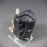 Schorl (Tourmaline Group), Quartz (variety smoky quartz)
65 mm x 62 mm x 42 mm
(Autor: Don Lum)