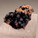 Kidwellite, Rockbridgeite
32mm x 20mm x 12mm
(Autor: Don Lum)