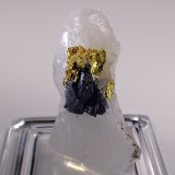 Native Gold, Sphalerite, Quartz
26 mm x 15 mm x 15 mm
(Autor: Don Lum)