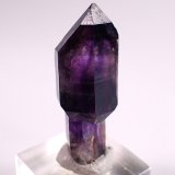 Quartz (variety amethyst scepter)
40 mm x 17 mm x 15 mm
(Autor: Don Lum)