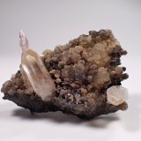 Quartz (variety reverse scepter), Calcite
62 mm x 49 mm x 27 mm
(Autor: Don Lum)