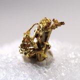 Gold
6.5 mm x 7 mm
(Autor: Don Lum)
