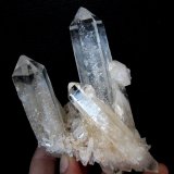 Quartz
Specimen size and also largest crystal size 13 cm
(Autor: Tobi)