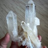 Quartz
Specimen size and also largest crystal size 13 cm
(Autor: Tobi)