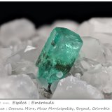 Beryl (variety emerald)
fov 15.2 mm
(Autor: ploum)