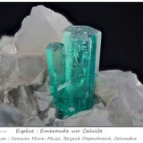 Beryl (variety emerald)
fov 12 mm
(Autor: ploum)
