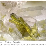 Epidote with Quartz
fov 8.7 mm
(Autor: ploum)