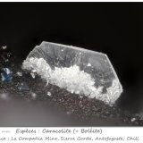 Caracolite
fov 0.70 mm
(Autor: ploum)
