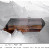 Allanite-(Ce)
fov 4.3 mm
(Autor: ploum)