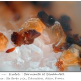 Carminite and Beudantite
fov 0.89 mm
(Autor: ploum)