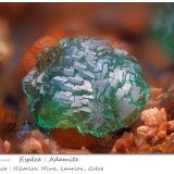 Adamite
fov 2.2 mm
(Autor: ploum)