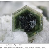 Apatite
19 mm
(Autor: ploum)
