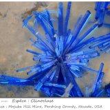 Clinoclase
fov 0.92 mm
(Autor: ploum)