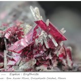 Erythrite with Quartz
fov 12.7 mm
(Autor: ploum)