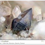 Anatase
fov 4.2 mm
(Autor: ploum)