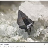 Anatase with Albite
fov 8.1 mm
(Autor: ploum)