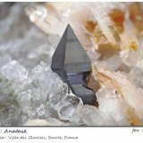 Anatase with Albite and Quartz
fov 8.5 mm
(Autor: ploum)