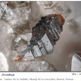 Anatase
Vallon de la Valette, Macizo La Lauzière, Saint-Jean-de-Maurienne, Saboya, Auvergne-Rhône-Alpes, Francia
fov 1,74 mm
(Autor: ploum)