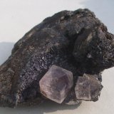 Fluorite
8cm
(Autor: colin robinson)