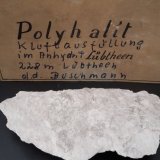 Polyhalite
9 x 5 cm
(Autor: Andreas Gerstenberg)