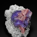 Fluorapatite, Rhodochrosite, Quartz
5.9 x 5.2 cm
(Autor: am mizunaka)