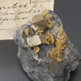 Pyrite with Siderite
7 x 5 cm
(Autor: Andreas Gerstenberg)
