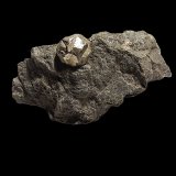 Pyrite
124 mm x 70 mm x 62 mm
(Autor: Dany Mabillard)