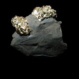 Pyrite
Torrent de Rolland Ravine, Baie des Lionnets, Rousset-Serre-Ponçon, Gap, Hautes-Alpes, Provence-Alpes-Côte d'Azur, France
40 mm x 40 mm x 20 mm
(Autor: Dany Mabillard)
