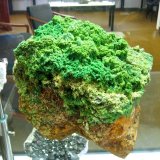 Pyromorphite
~ 20 cm
(Autor: Tobi)