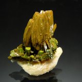 Pyromorphite
1.8 x 2.2 cm
(Autor: Michael Shaw)