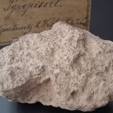 pyropissite (mixture of Bitumen, Coal, Illite, Kaolinite, Quartz...)
7 x 5 cm
(Autor: Andreas Gerstenberg)
