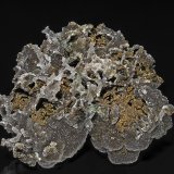 Quartz, Chalcopyrite
8.5 x 7.5 cm
(Autor: am mizunaka)