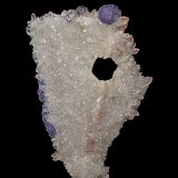 Quartz, Fluorite
14.2 x 9.0 cm
(Autor: am mizunaka)