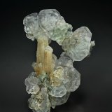 Fluorite, Quartz
10.4 x 7.0 cm
(Autor: am mizunaka)