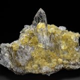 Quartz, Muscovite
11.0 x 9.5 cm
(Autor: am mizunaka)