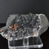 QUARTZ on SPECULARITE
7.5x3.0x4.0 cm
(Autor: captaincaveman)