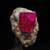 Beryl (variety red beryl)
2.1 x 1.4 cm
(Autor: am mizunaka)